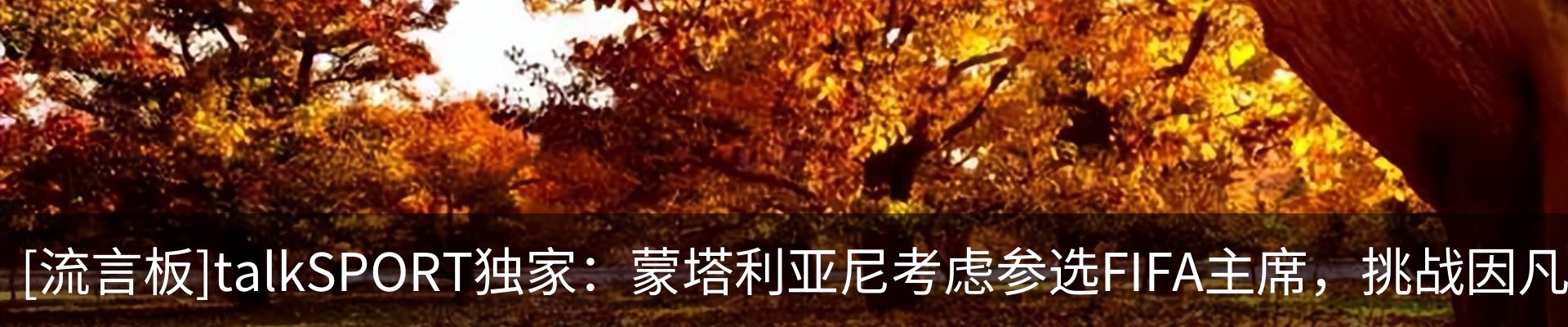 资讯中心